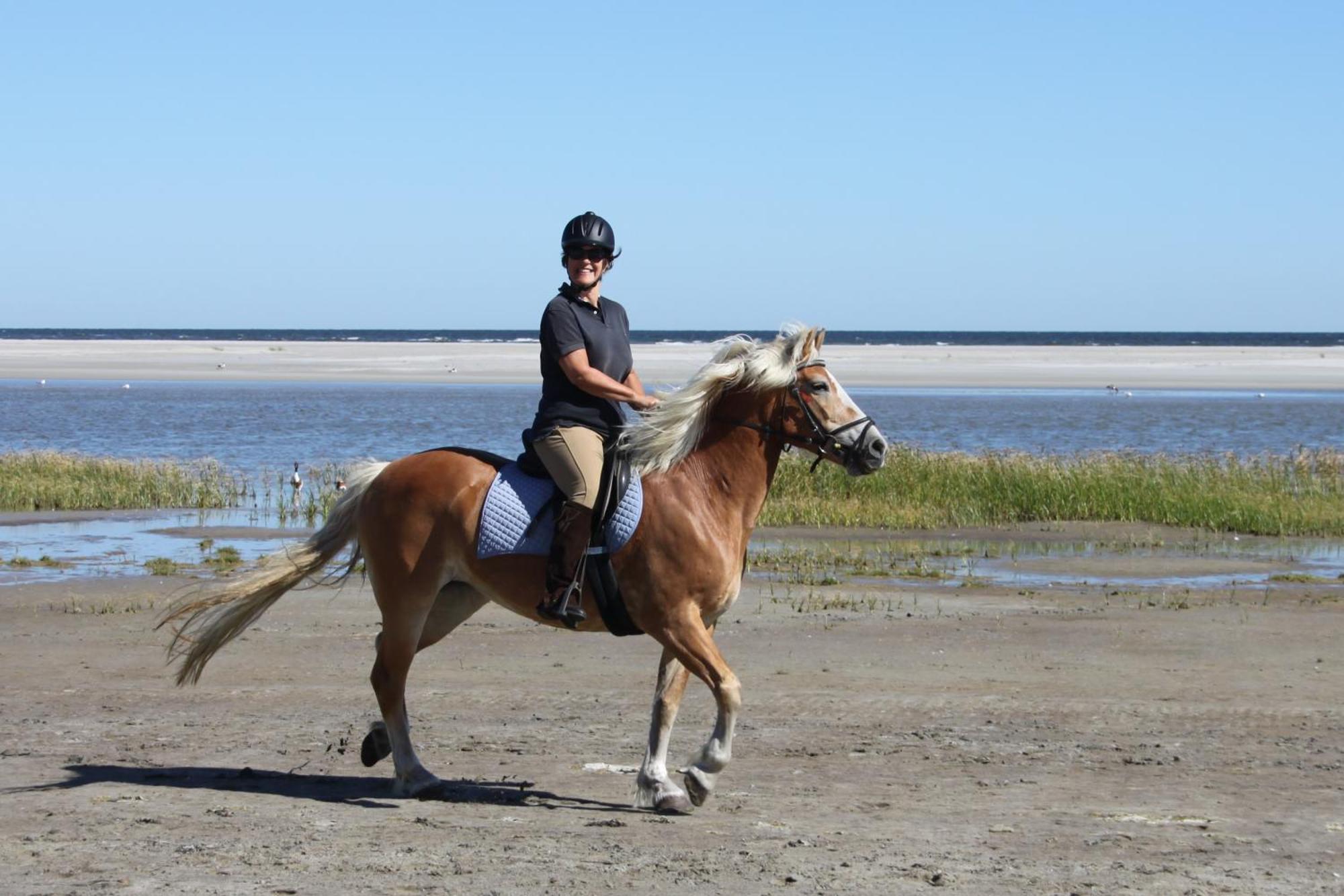 Naar Zee Op Ameland Buren  Eksteriør bilde